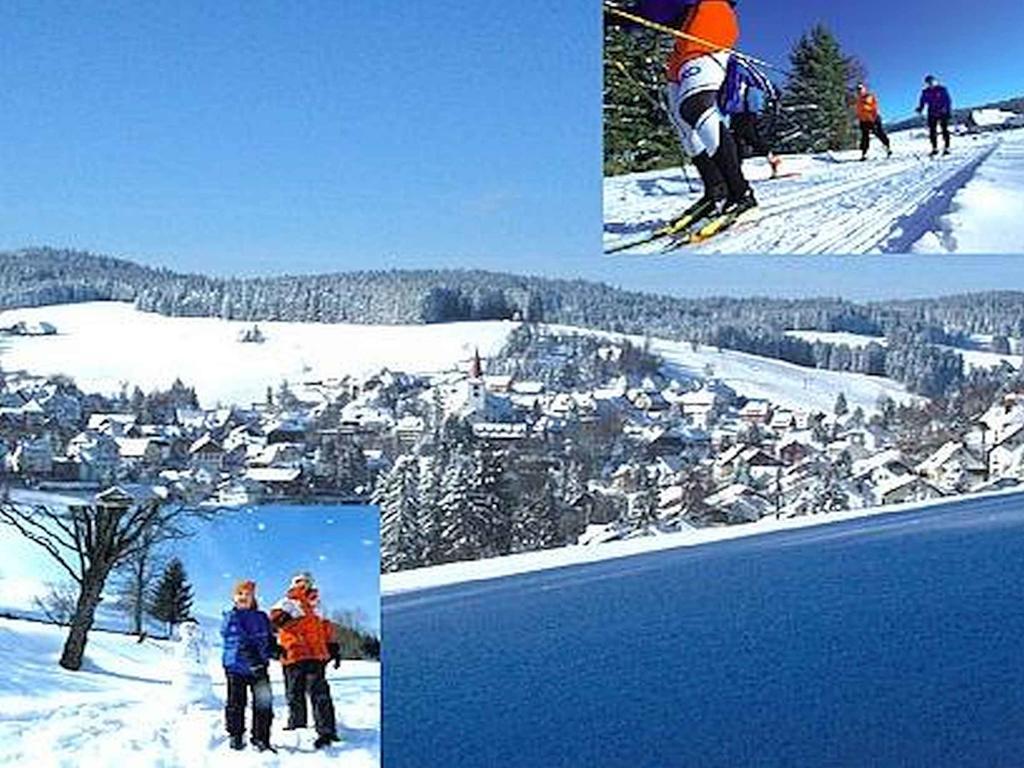 Appartmentvermietung Terrassenpark Schonach Schonach im Schwarzwald Exterior foto