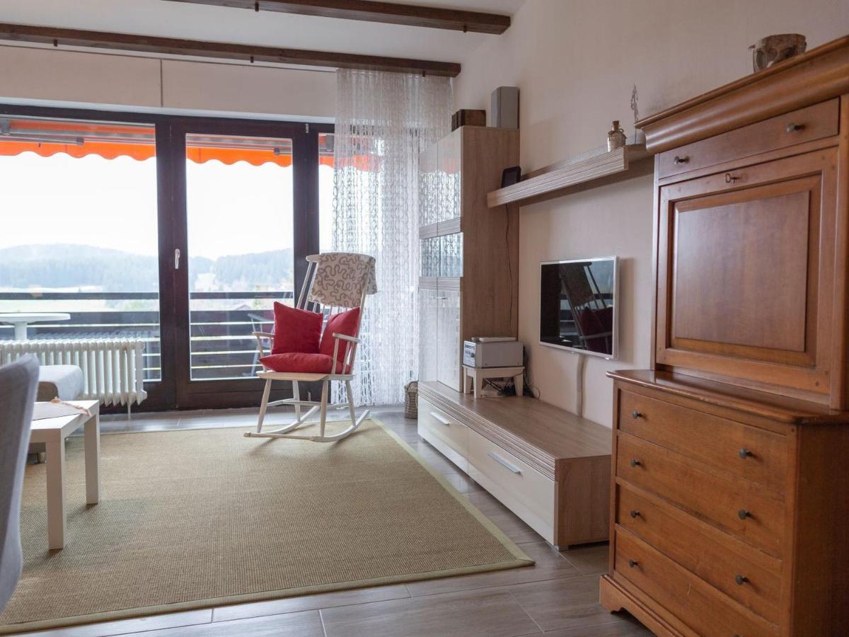 Appartmentvermietung Terrassenpark Schonach Schonach im Schwarzwald Exterior foto